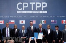 Japan completes domestic procedures to ratify CPTPP