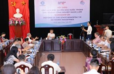Hanoi: Seminar on reforming State monopoly in network industries 