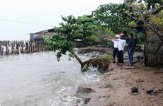 Kien Giang asks for government’s support in fixing urgent coastal erosion