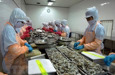 Shrimp prices expected to recover in Q3