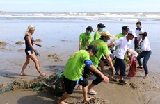 Foreign tourists help clean Mui Ne beach
