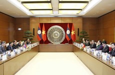 Vietnamese parliament treasures partnership with Lao counterpart 