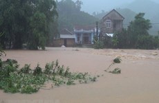 Casualties, missing victims from torrential rains, floods mounts to 63