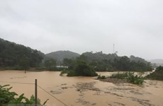 Yen Bai: At least 10 found dead in floods