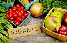 Indonesia strengthens export of organic products