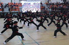 HCM City opens fifth int’l martial arts festival