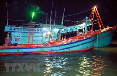 Ca Mau fishermen receive loans to build or upgrade ships