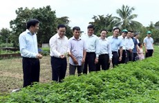 Deputy PM urges creativity in building new rural areas