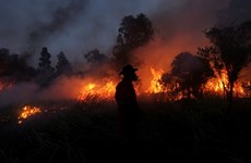 Many wildfire hotspots appear in Indonesia’s Sumatra
