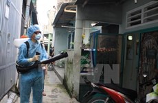 Ho Chi Minh City records first death to dengue fever in 2018