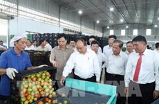 PM suggests agriculture triangle for Lam Dong development model
