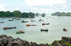 Hai Phong: Tourist arrivals surge 19.9 percent in seven months