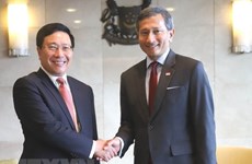 Vietnam, Singapore see strong all-round growth in strategic partnership
