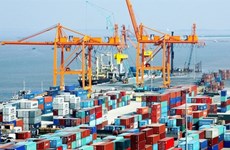 Vietnam records 3.1 billion USD trade surplus in seven months
