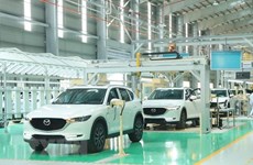Local car production on the rise