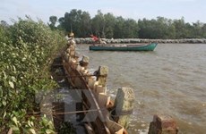 Nearly 2.6 million USD for sea embankment projects in Ca Mau