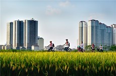 Photos on Hanoi’s suburban life on display