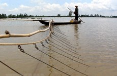 Mekong Delta region warned about serious flooding