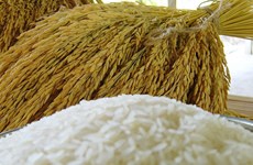Thailand sees bright prospects for rice exports