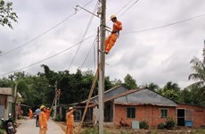 Tay Ninh: 175 billion VND for upgrade of power grid works