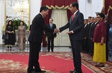 Indonesian President’s Vietnam visit expected to boost ties