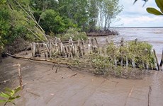Kien Giang faces serious riverbank, coastal erosion 
