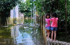 Hanoi ready to fight diseases in flood-hit areas