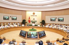 Cabinet members debate institutional development