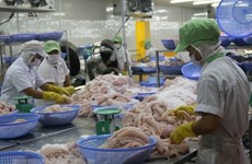 VASEP: Tra fish export to EU tends to recover