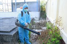 Ha Nam: Medical workers get training on effective dengue prevention