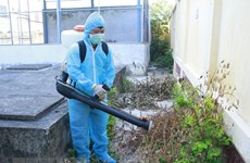 Da Nang steps up measures against dengue fever 