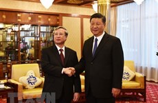 Top Chinese leader affirms desire to develop ties with Vietnam