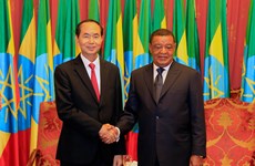 Presidents of Vietnam, Ethiopia hold talks