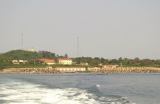 Quang Tri restores marine resources in Con Co island
