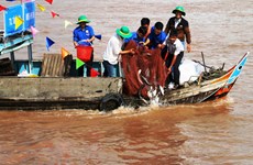Over 7.6 tonnes of fish fry released in An Giang 