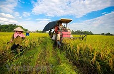 Tra Vinh seeks higher labour productivity