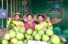 Thua Thien-Hue specialty pomelo is festival highlight