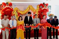 Paintings by Vietnamese, Chinese artists showcased in HCM City 