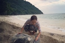 Con Dao Island pioneers sea turtle protection