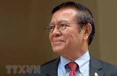 Cambodian opposition leader released on bail
