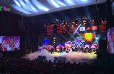 Music festival marks 45 years of Vietnam-Japan diplomatic ties