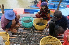 Removing EC’s yellow card key to boosting seafood exports
