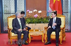 Groups promise to support Vietnam in meeting standards of digital economy 