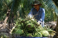 Ben Tre calls for more investment in agriculture
