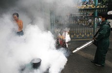 Dengue fever spreads in Bangkok