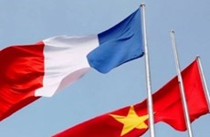 Vietnam-France ties thrive: ambassador
