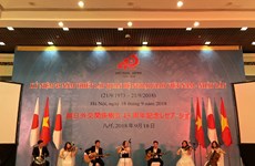 Japan treasures cooperation with Vietnam: Ambassador