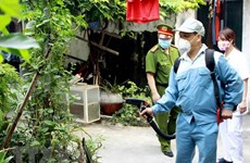 Dengue fever cases in Hanoi fall 96.8 percent