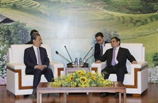Vietnamese, Chinese Party officials discuss bilateral ties