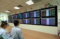 Vietnamese shares suffer on large cap bank losses